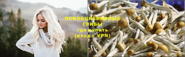jwh Карталы