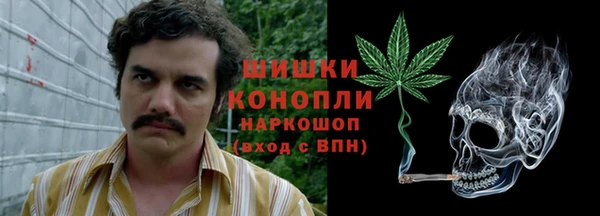 дурь Касимов