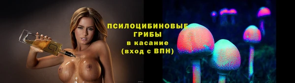spice Карпинск