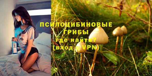 дурь Касимов