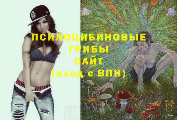 дурь Касимов
