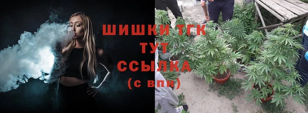 соль ск Рославль