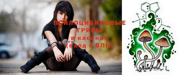 spice Карпинск